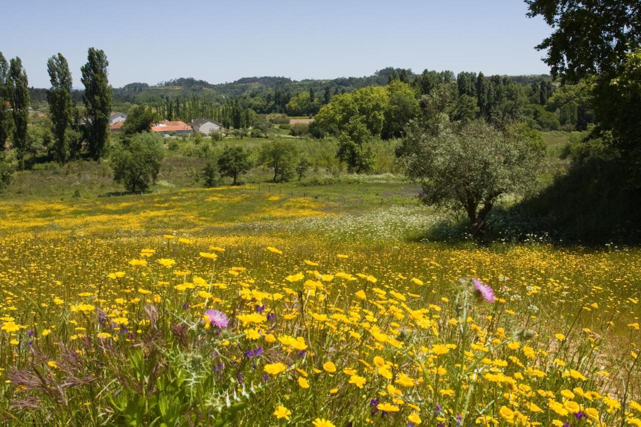 Quinta da Alcaidaria Mor Villa Ourem Bagian luar foto
