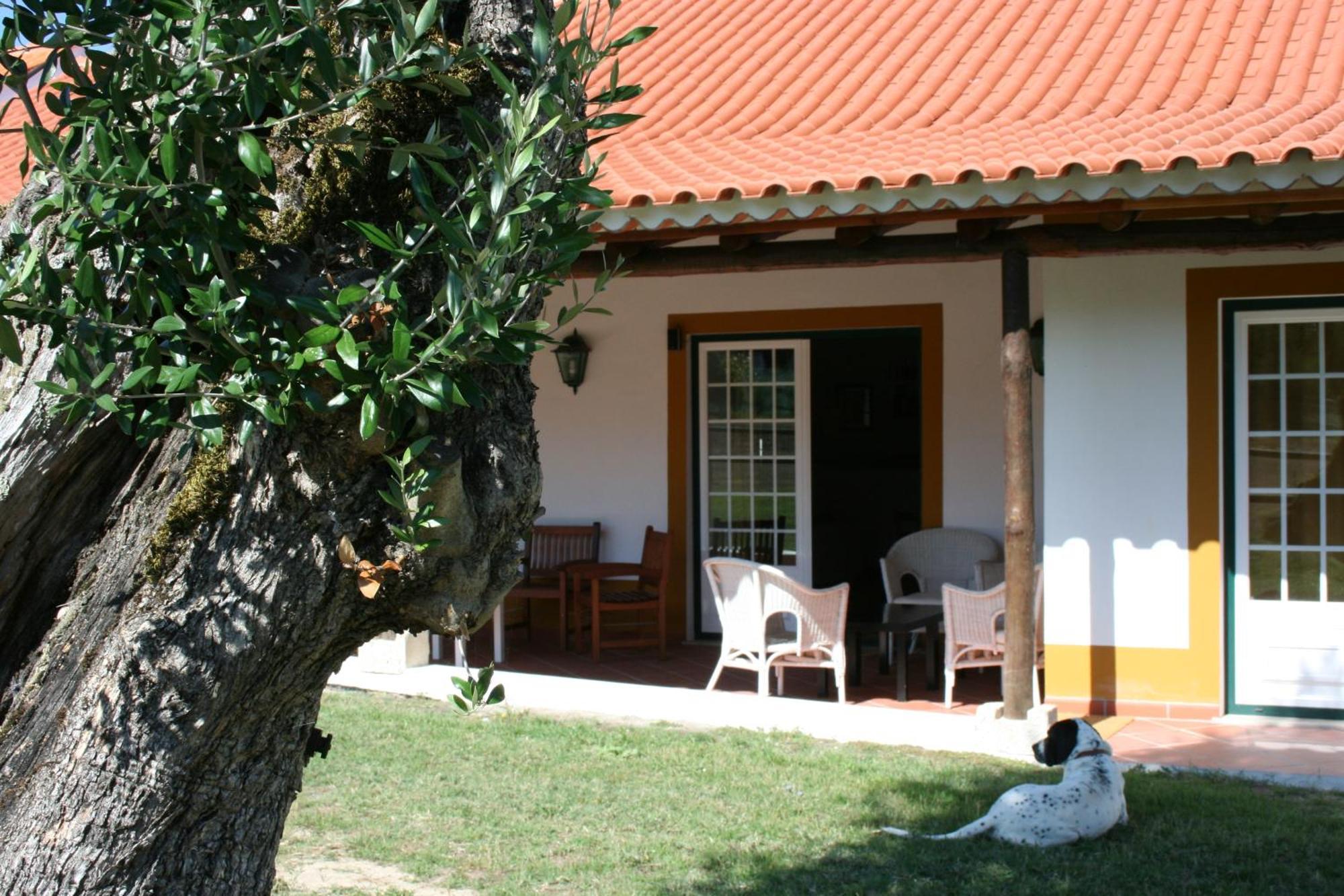 Quinta da Alcaidaria Mor Villa Ourem Bagian luar foto